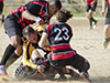 thumb_DSC_6259.jpg